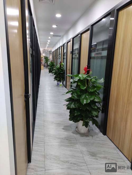 启明星辰招聘官网