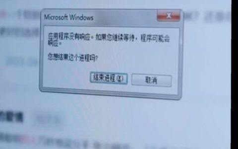 运行命令为何不显示？