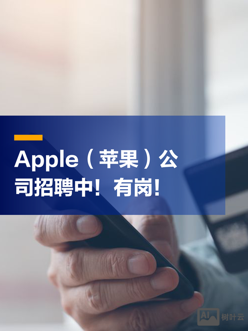 苹果店招聘要求是什么