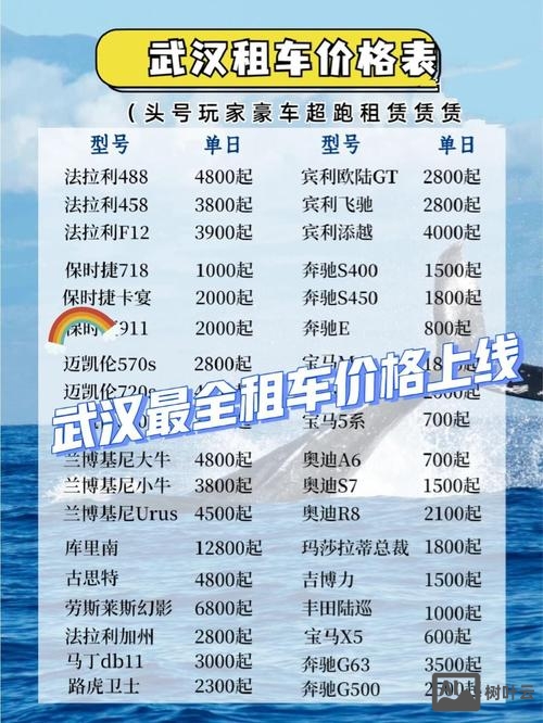 武汉易微享租车招聘吗