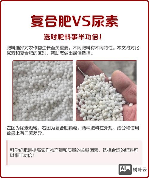 如何区分化合肥