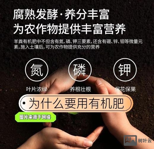 如何区分化合肥