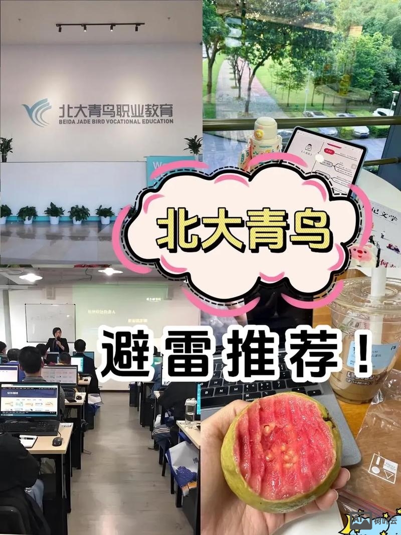 烟台北大青鸟招聘信息