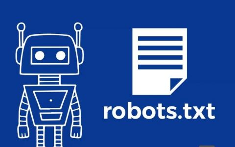 robots.txt在哪查看?