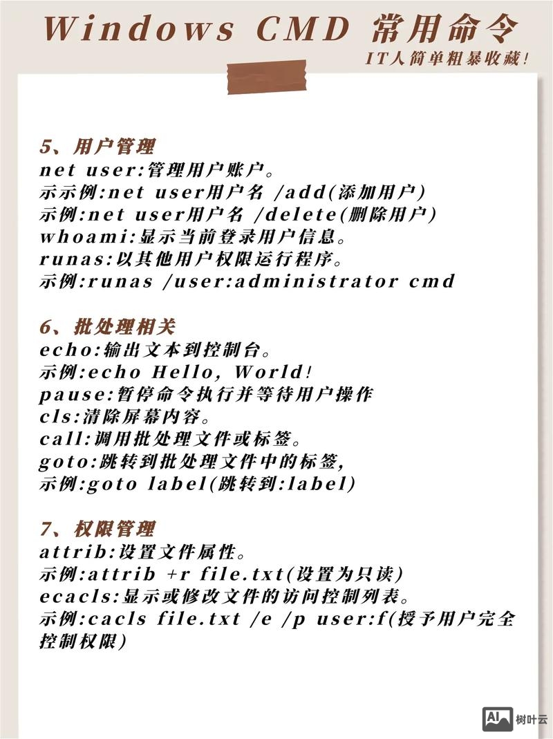 window 查看文件命令