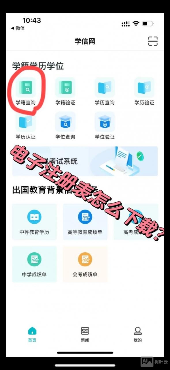 网站如何备案信息查询