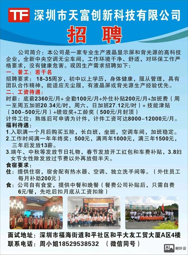 深圳网站建设公司招聘