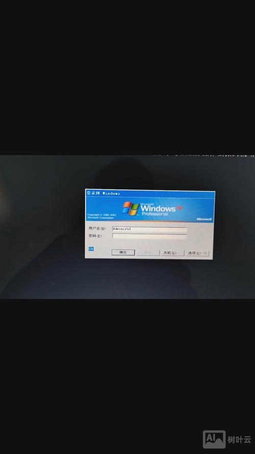 xp 开机 运行命令