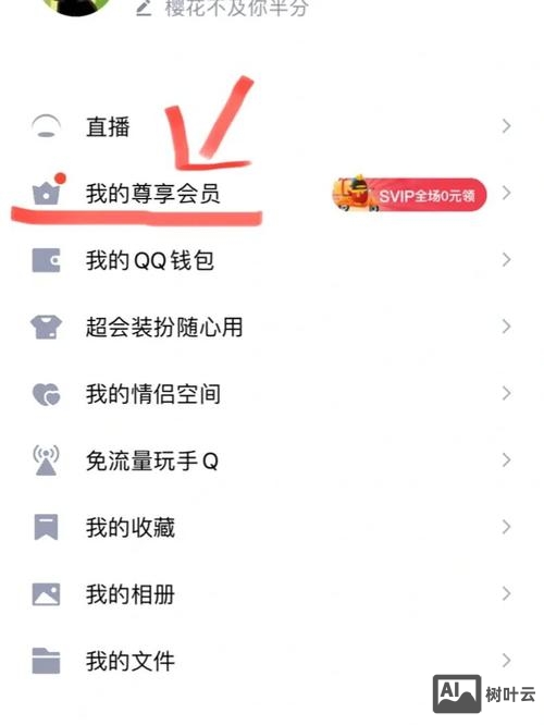 网站如何加会员系统