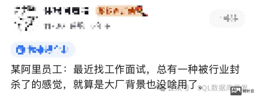 阿里面试查看招聘状态