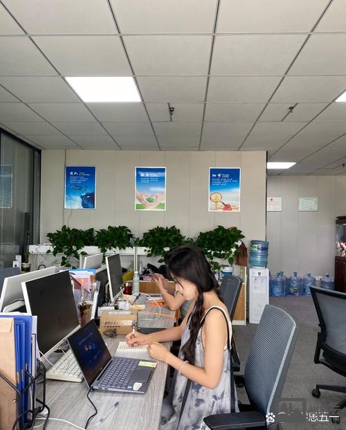 阿里面试查看招聘状态