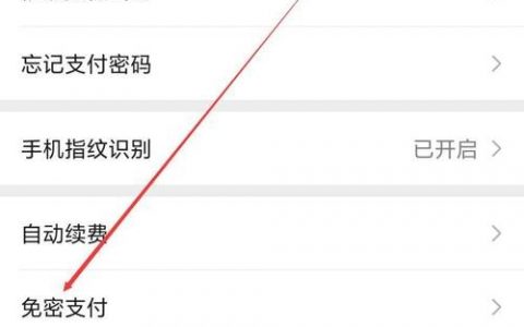 微信支付怎么设置？新手必看步骤！