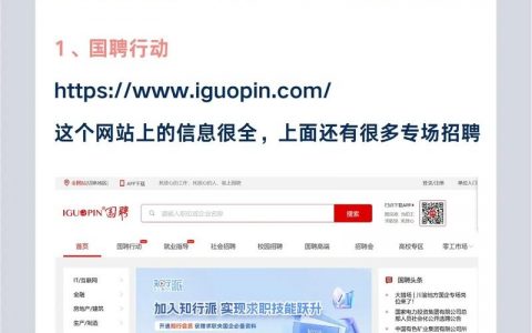 大型招聘网站哪家强?各有啥优缺点?