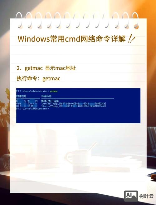 bat 启动服务命令