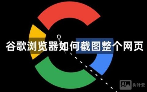 谷歌地图怎么复制？30字内疑问标题，谷歌地图如何复制？