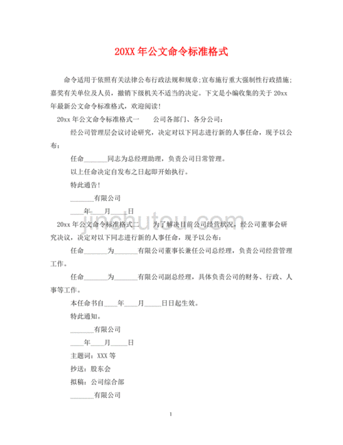 命令的写作格式