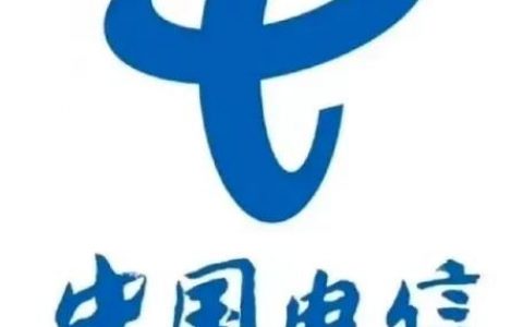 中国电信理想集团招聘，有何具体要求？