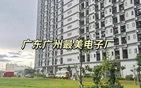 电子工业出版社招聘有何具体岗位要求？