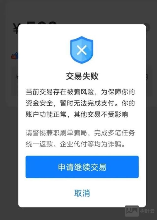 支付命令错误包括