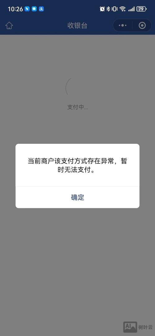 支付命令错误包括