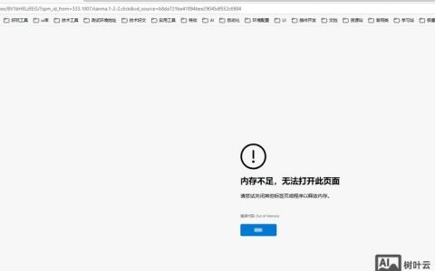 支付命令错误包括