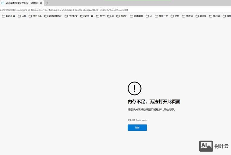 支付命令错误包括