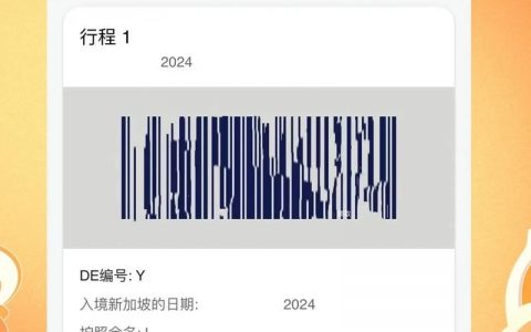 如何查新加坡公司税号