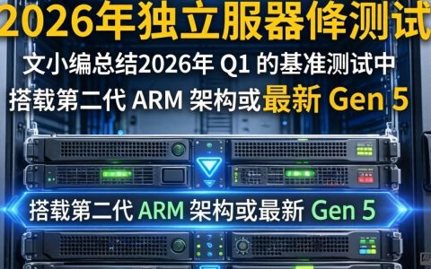独立服务器测评，实测数据与性能表现怎么样？独立服务器测评