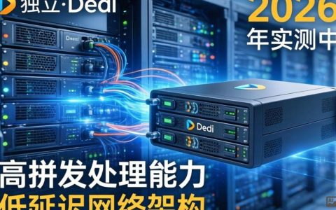 RapidDedi独立服务器测评，实测体验，RapidDedi独立服务器怎么样，RapidDedi独立服务器推荐