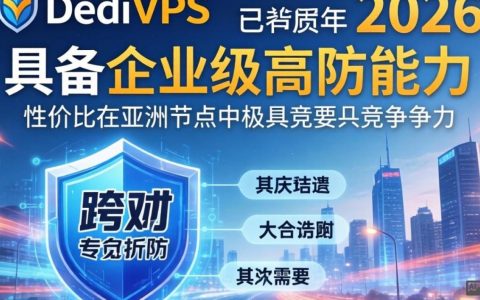 RapidDediVPS测评，实测体验，RapidDediVPS怎么样，RapidDediVPS评测