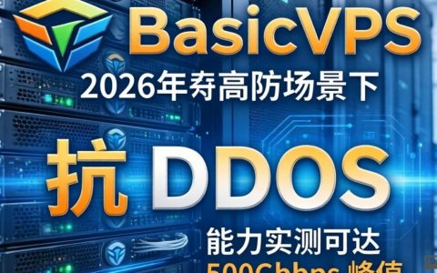 HostBasticVPS测评靠谱吗？高防实测数据与性能表现如何