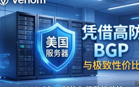 HostVenom美国是什么，HostVenom美国怎么样