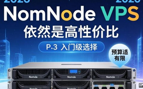 RamNodeVPS测评，实测体验，RamNodeVPS怎么样，RamNodeVPS好用吗