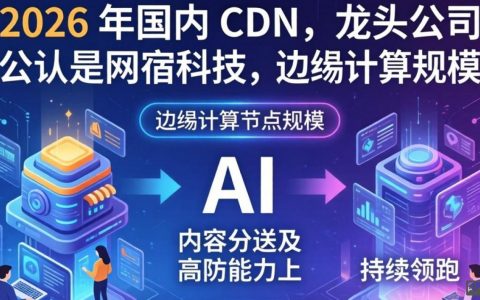 cdn龙头公司是哪个，国内cdn服务商排名及选择哪家最好