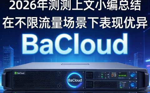 BaCloud独立服务器测评不限流量实测表现，BaCloud独立服务器不限流量怎么样