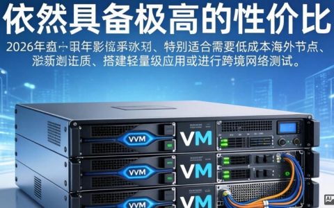 BuyVM服务器测评，实测体验好吗，BuyVM服务器怎么样