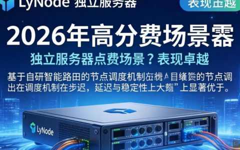 anyNode独立服务器测评，实测体验，anyNode独立服务器怎么样，anyNode独立服务器推荐