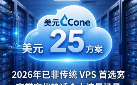 cloudconeVPS测评，25美元/月方案实测对比，cloudconeVPS怎么样值得购买吗