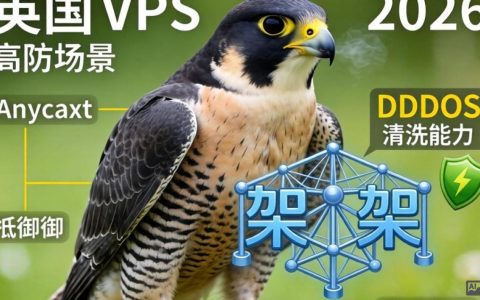 Falcon英国VPS测评怎么样？英国高防VPS推荐与性能对比