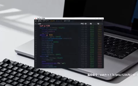 Linux进程打开文件数怎么查？如何监控进程打开文件数