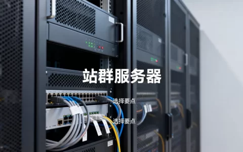 站群服务器到底是什么意思,怎么选择比较好