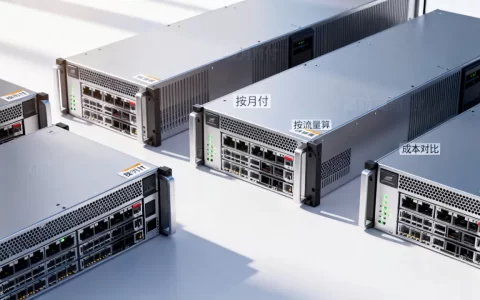 高防服务器按月付和按流量算哪个更划算，怎么选？